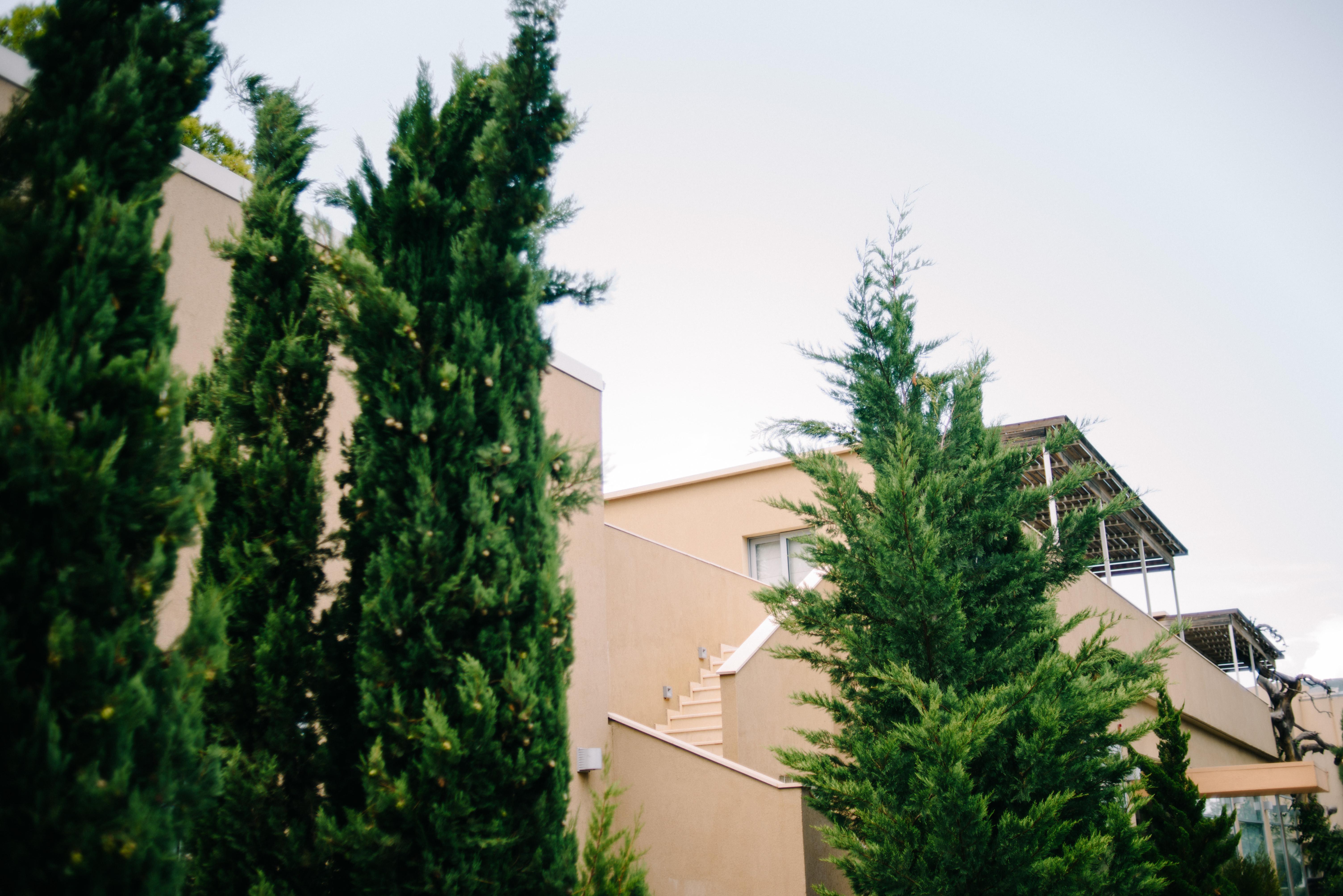Sikyon Coast Hotel And Resort Xylokastro Exterior foto